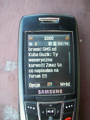 to jest tre¶æ sms, który otrzyma³em