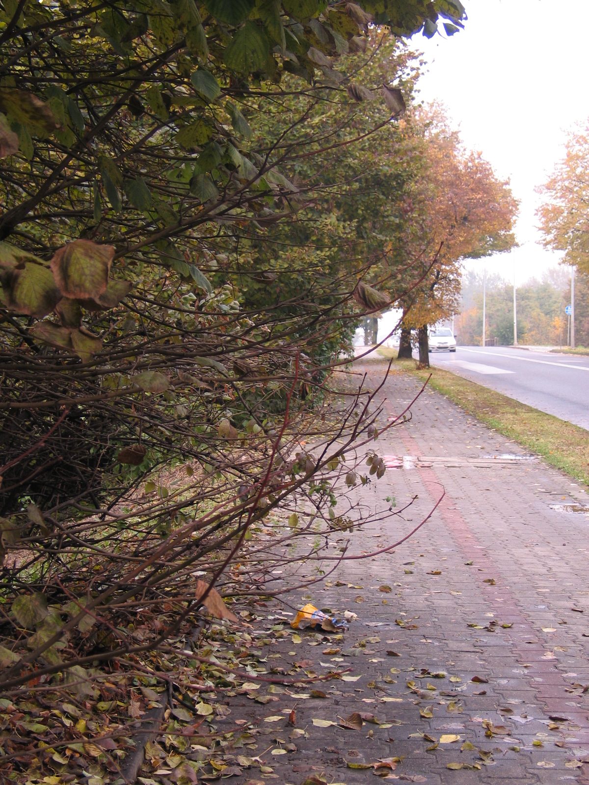 zdjęcie z 22-10-2016 (czas remontu-widok w stronę Tarnowa-mostu na Białej)